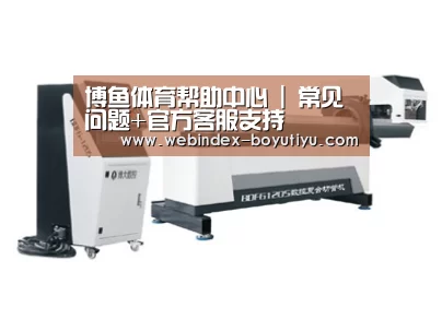 案例展示三