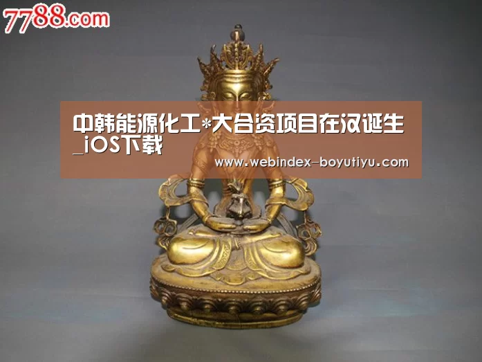 中韩能源化工*大合资项目在汉诞生_iOS下载(图1) 官方应用