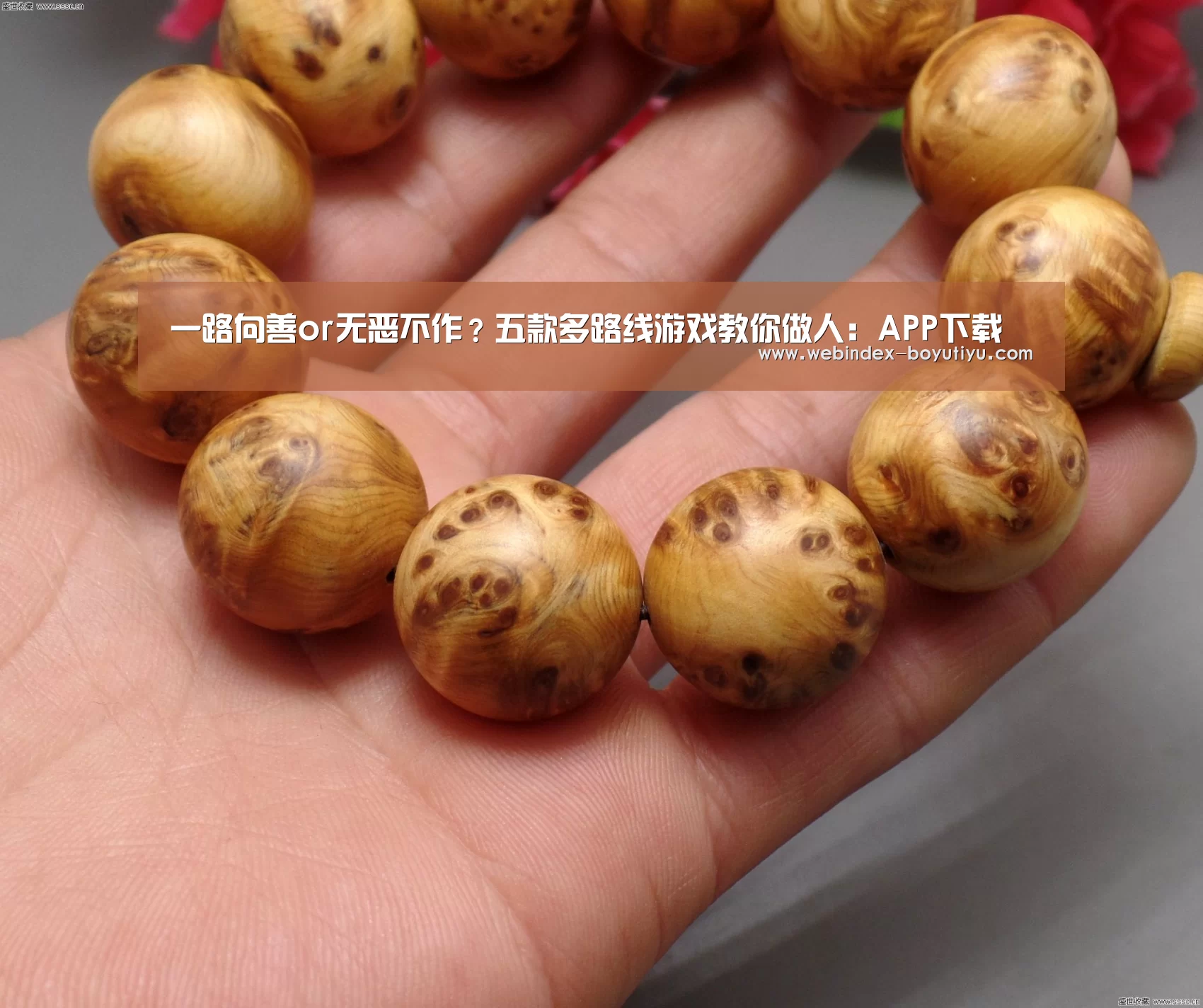博鱼体育APP
