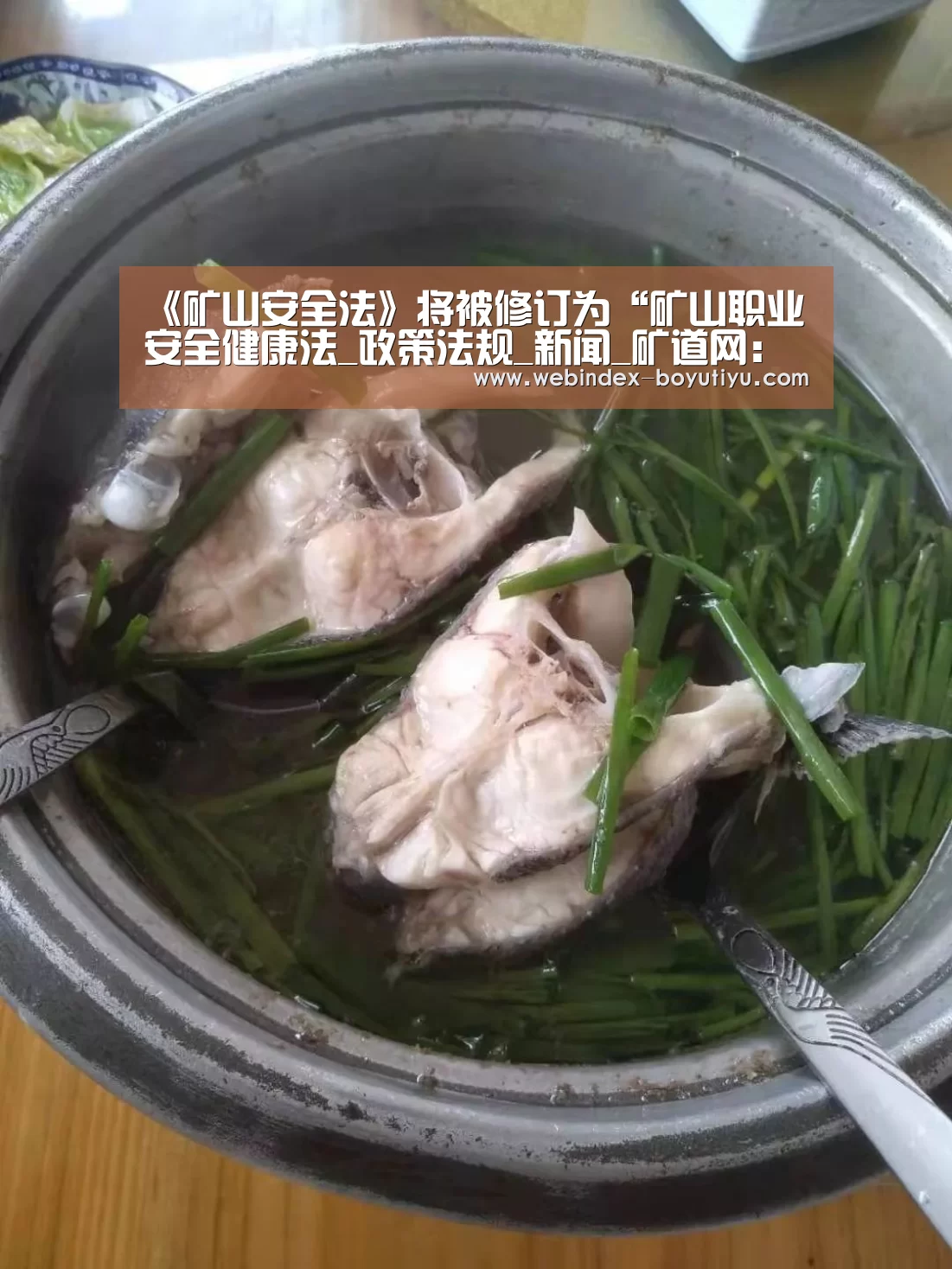 博鱼体育APP