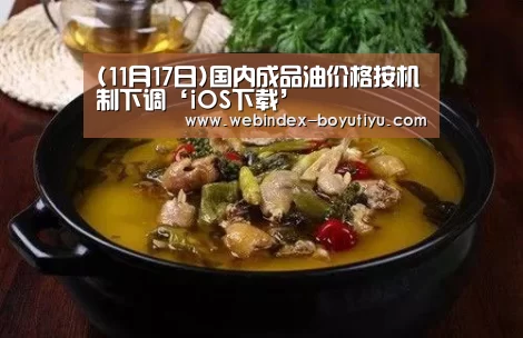 (11月17日)国内成品油价格按机制下调‘iOS下载’(图1) iOS下载