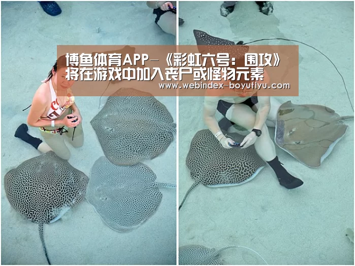 APP下载